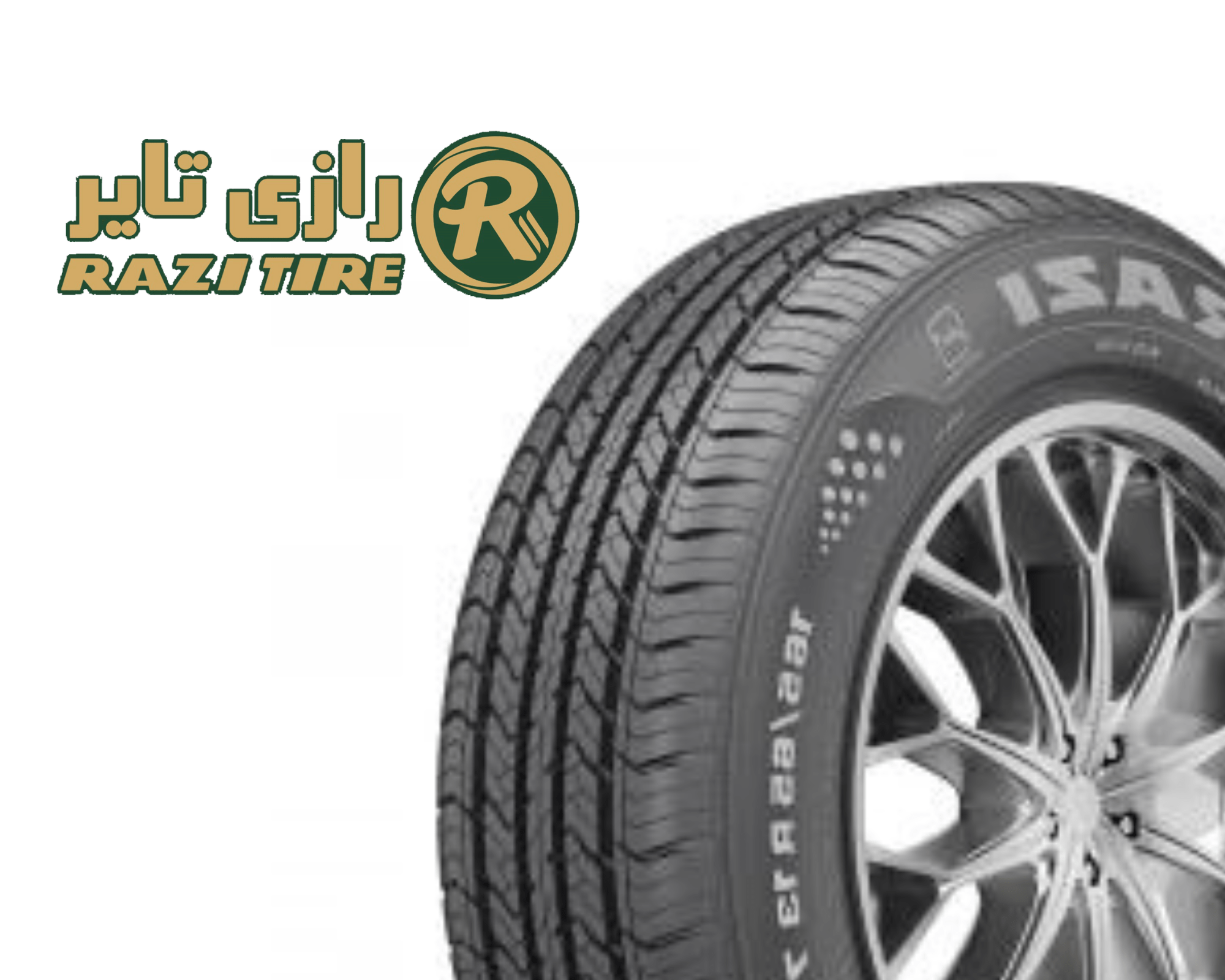 Untitled design_20240807_135839_0000